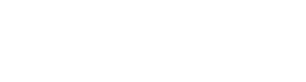 Home 19 Active Logo White